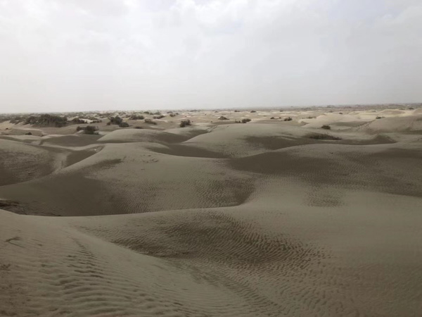 上海找刑事案件律師告訴您如何對DNA證據(jù)進(jìn)行規(guī)則的修正與補(bǔ)強(qiáng)