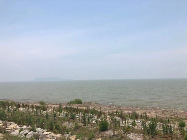 如何認(rèn)定參加黑社會(huì)性質(zhì)組織罪中的參加行為？上海刑事犯罪律師來回答