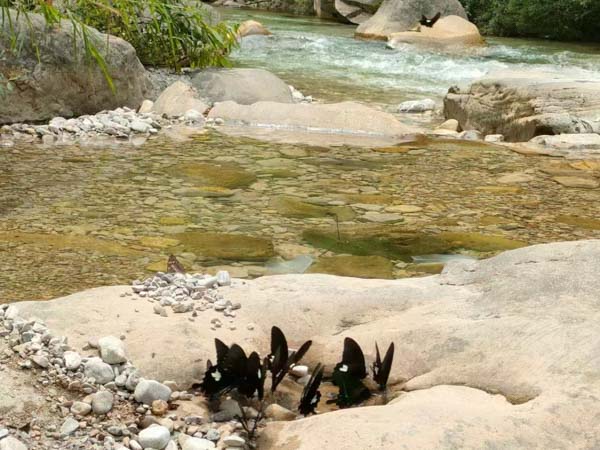 偵查人員以親屬的安危威脅被告人的證據(jù)是否有效?普陀區(qū)刑事律師告訴您