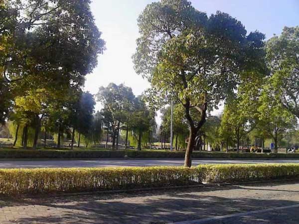 對(duì)于一些違法犯罪未遂犯，應(yīng)該怎樣進(jìn)行處罰呢？聽(tīng)聽(tīng)青浦區(qū)刑事律師的說(shuō)法