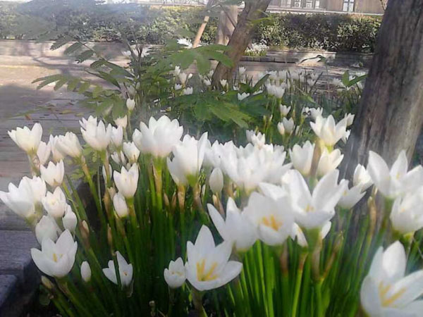 寶山刑事律師來講講因形跡可疑被盤查供述毒品事實是否成立自首