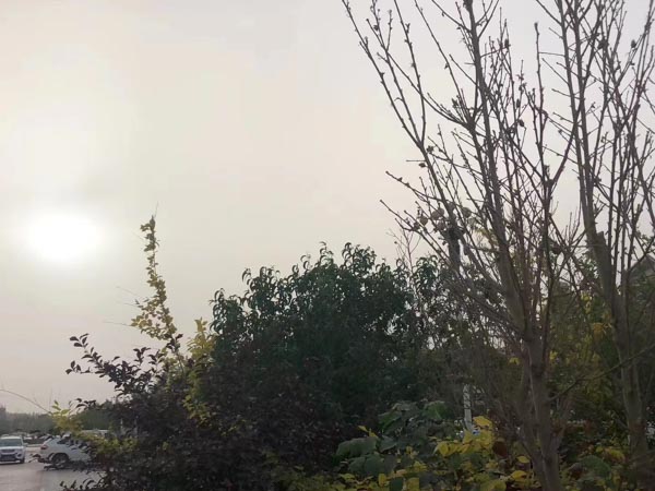 調(diào)包的行為是屬于盜竊罪還是詐騙罪？上海刑事案件著名律師告訴您