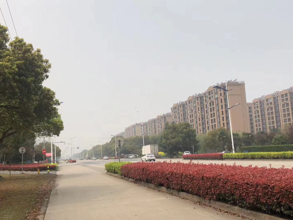 貪污案適用減輕處罰情節(jié)能否減至免予刑事處罰？上海刑事專業(yè)律師來回答