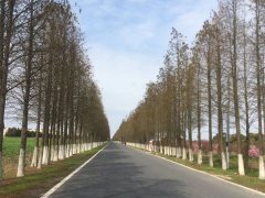 刑事犯罪去哪找專(zhuān)業(yè)的上海取保候?qū)徛蓭?></a></div>
                            <div   id="hkw2ul2"   class="media-body">
                              <a href="http://www.mlmcu.com/xszx/252.html" title="刑事犯罪去哪找專(zhuān)業(yè)的上海取保候?qū)徛蓭?>刑事犯罪去哪找專(zhuān)業(yè)的上海取保候?qū)徛蓭?/a>
                              <p class="list_desc">上海取保候?qū)徛蓭熁貜?fù)可以處理這個(gè)問(wèn)題，公司侵犯了你的名譽(yù)權(quán)，你可以要求精神損害賠償，可以起訴要求其賠禮道歉，支付精神撫慰金。... </p>
                            </div>
                          </div>
                        </li><li>
                          <div   id="hfm2y7g"   class="media media-x">
                            <div   id="2dfryfm"   class="media_img float-right"><a  href="http://www.mlmcu.com/xszx/251.html" ><img  src=