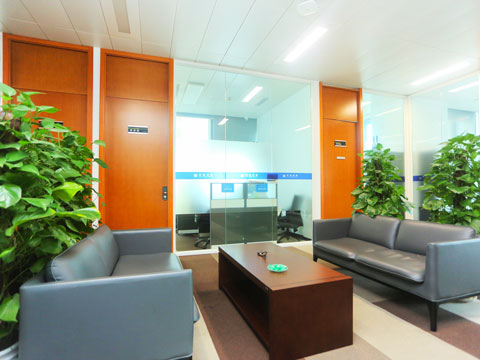 上海經(jīng)濟犯罪律師-常見的經(jīng)濟犯罪有哪些