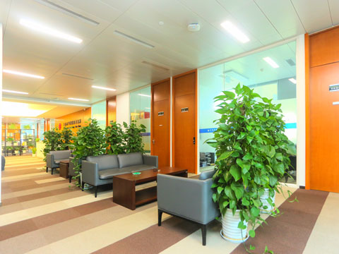 上海刑事案律師答有無犯罪證明記錄為何上面有