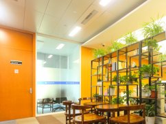 <b>死刑與心理疾病的糾葛：上海死刑辯護(hù)律師詮釋司法的艱難選擇</b>