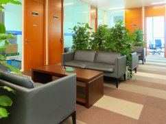 <b>崇明刑事律師視角：非法買賣信息判多少年</b>